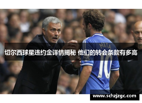 切尔西球星违约金详情揭秘 他们的转会条款有多高