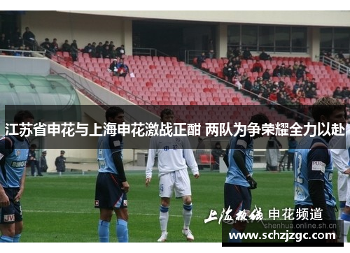 江苏省申花与上海申花激战正酣 两队为争荣耀全力以赴