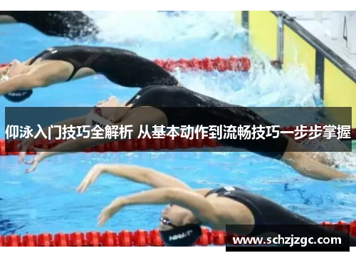 仰泳入门技巧全解析 从基本动作到流畅技巧一步步掌握