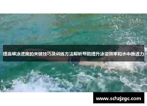 提高蝶泳速度的关键技巧及训练方法解析帮助提升泳姿效率和水中推进力