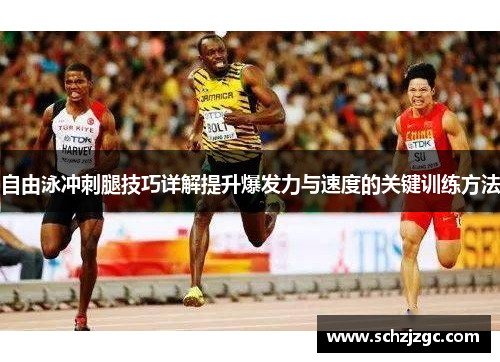 自由泳冲刺腿技巧详解提升爆发力与速度的关键训练方法