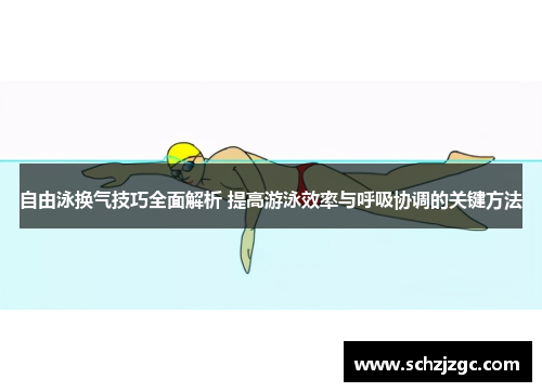 自由泳换气技巧全面解析 提高游泳效率与呼吸协调的关键方法