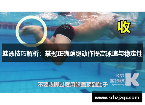 蛙泳技巧解析：掌握正确蹬腿动作提高泳速与稳定性