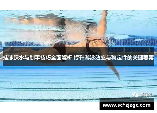 蛙泳踩水与划手技巧全面解析 提升游泳效率与稳定性的关键要素