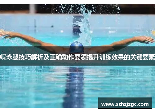 蝶泳腿技巧解析及正确动作要领提升训练效果的关键要素