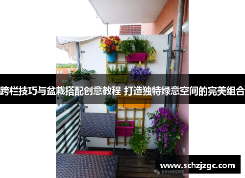 跨栏技巧与盆栽搭配创意教程 打造独特绿意空间的完美组合