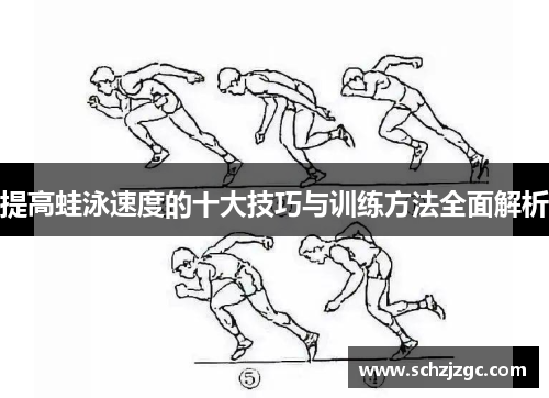 提高蛙泳速度的十大技巧与训练方法全面解析