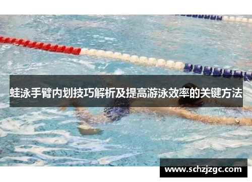 蛙泳手臂内划技巧解析及提高游泳效率的关键方法